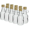 Butelis Galonik 40 ml su užsukamu kamšteliu, 10 vnt. - 4 