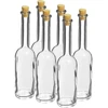 Butelis užpiltinei 100 ml 6 vnt.+ 6 kamščių - 6 