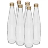 Klubowa butelis 500 ml su auksiniu užsukamu dangteliu, rinkinys 6 vnt. - 9 