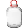 Stiklainis 15 L su plastikiniu dangčiu - 4 