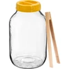 Stiklainis TO 4 l, žnyplės ir plastikinis užsukamas dangtelis fi 100, su rankena - 13 