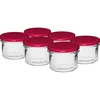 Tiesus stiklainis 235 ml (fi82) su bordo spalvos dangteliu, 6 vnt. ['stiklainių rinkinys', ' stiklainiai rauginimui', ' stiklainiai uogienėms', ' stiklainis su užsukamu dangteliu', ' stiklainiai fi 82', ' stiklainiai su 6 užkabų dangteliais', ' stiklainiai su bordo spalvos dangteliais', ' konservavimui', ' sterilizavimui stiklainiuose', ' mėsai', ' mėsa stiklainyje']