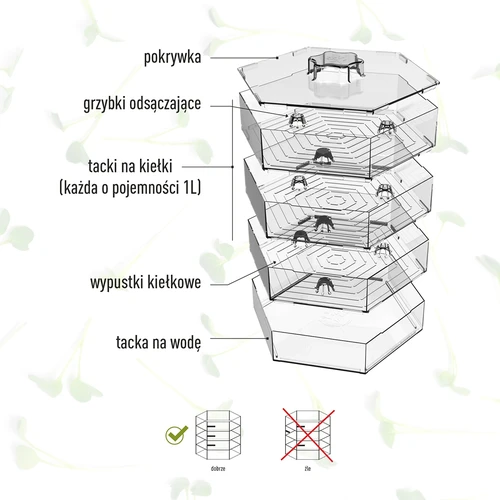 Daugiapakopė daigyklė Niezłe Ziółko su ridikėlių sėklomis - 11