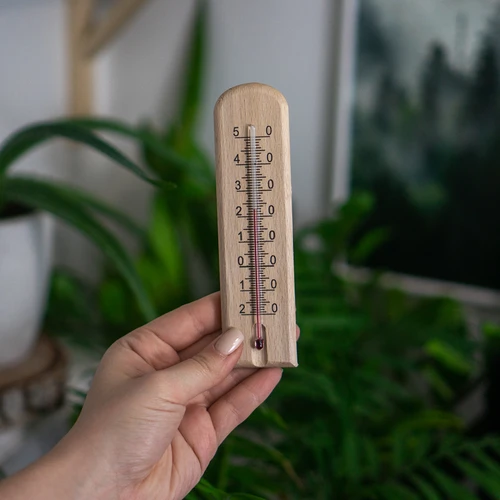 Kambario termometras su raštu (-20 °C iki +50 °C) 15 cm - 4