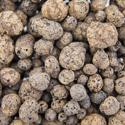 Keramzitas vazoniniams augalams, sodininkystei ir miškams stikle, 4-10 mm, 1L - 5