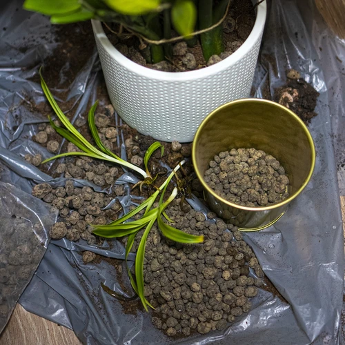 Keramzitas vazoniniams augalams, sodininkystei ir miškams stikle, 4–10 mm, 2 l - 8