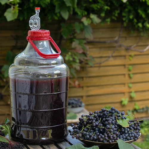 Lengvas, nedūžtantis damžonas vynui su rankena, 20 L - 7