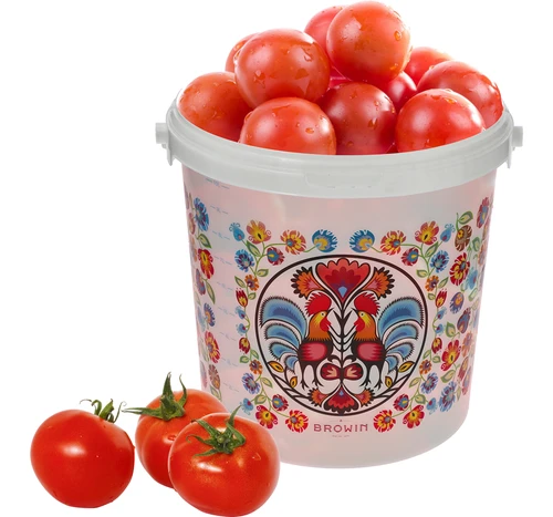 Maistinis kibiras GWIOZDA - su dangčiu, 10 L - 7