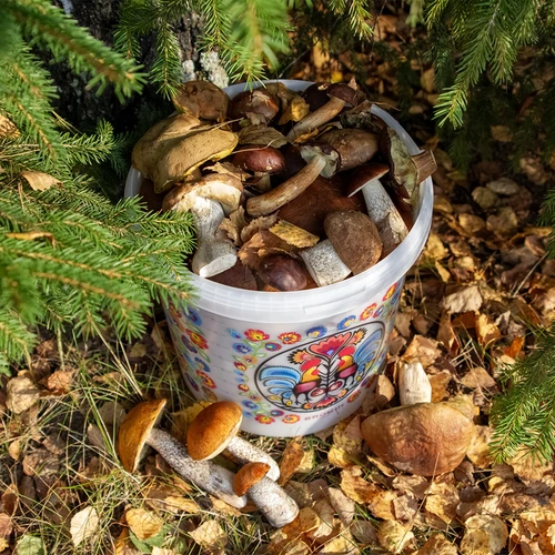 Maistinis kibiras GWIOZDA - su dangčiu, 10 L - 10
