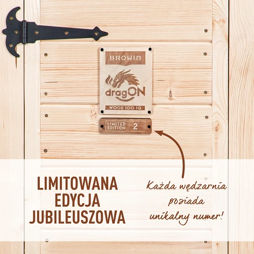 Rūkykla su Wi‑Fi, 200 l – dragON WOOD 100IQ su elektriniu šildymo moduliu ir valdikliu - 4
