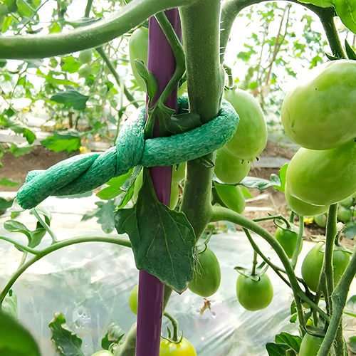 Sodo viela su porolono apvalkalu, žalia, 10 m, Ø 10 mm - 4