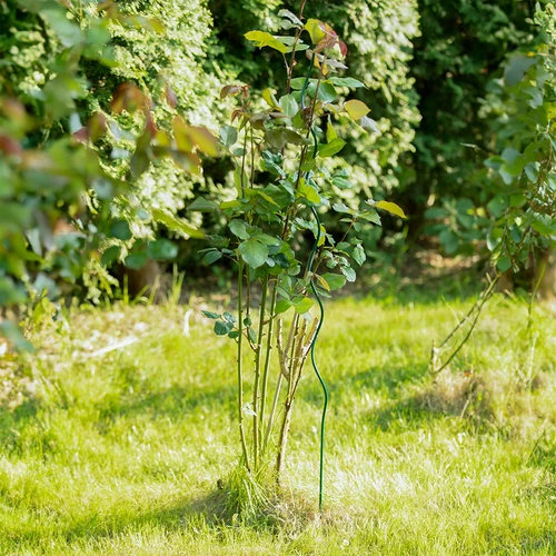 Spiralinė plieninė atrama 1,25m x 6mm - 3