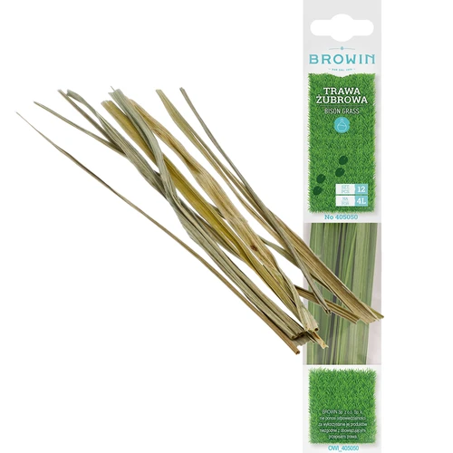 Stumbro žolė - kvapioji šventžolė 12 vnt. / 4 l