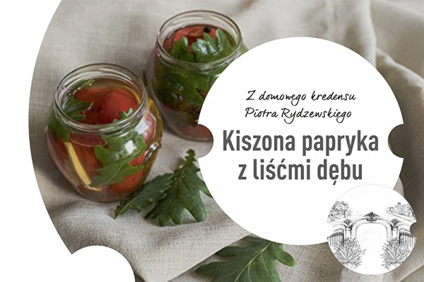 2 dalis: Raugintos paprikos su ąžuolo lapais