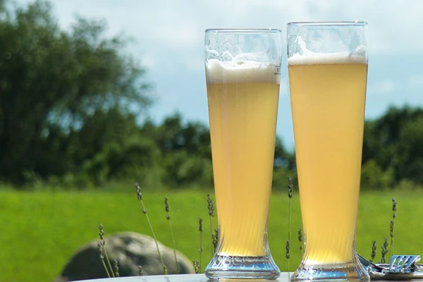 Kvietinis alus „Baltasis”
