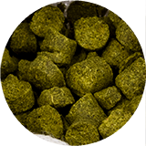 Aludarystė